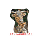 ジローの気持ち（個別スタンプ：35）