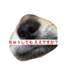 ジローの気持ち（個別スタンプ：40）