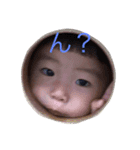 y yfamily（個別スタンプ：1）