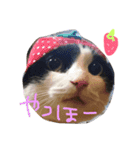 ゆっけのスタンプ①（個別スタンプ：1）