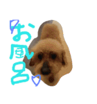 zoo2（個別スタンプ：3）
