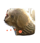 zoo2（個別スタンプ：8）