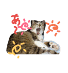 zoo2（個別スタンプ：9）
