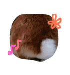 zoo2（個別スタンプ：12）