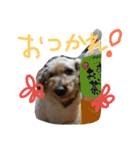 zoo2（個別スタンプ：13）