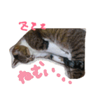 zoo2（個別スタンプ：22）
