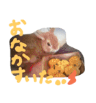 zoo2（個別スタンプ：26）