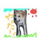 zoo2（個別スタンプ：30）