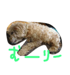 zoo2（個別スタンプ：33）
