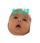 Yinon（個別スタンプ：10）
