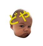 Yinon（個別スタンプ：11）