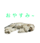 po10（個別スタンプ：3）