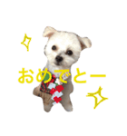 コテツスタンプ 2（個別スタンプ：7）