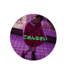 maaya2（個別スタンプ：6）
