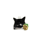 Jackie angry cat（個別スタンプ：1）