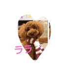 lalanana（個別スタンプ：6）