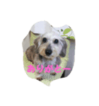 ririco family（個別スタンプ：6）