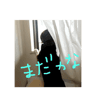 ピー太郎さん（個別スタンプ：6）