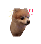 まるなが（個別スタンプ：6）
