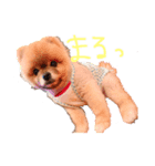 まるなが（個別スタンプ：8）