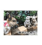 庭の3うさ（個別スタンプ：23）