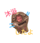 わが子すたんぷ（個別スタンプ：20）