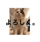 NikiP（個別スタンプ：2）
