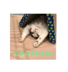 NikiP（個別スタンプ：6）