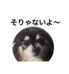 ウチの犬（個別スタンプ：4）