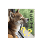 まめさんスタンプ♩（個別スタンプ：10）