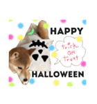 まめさんスタンプ♩（個別スタンプ：13）