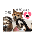 まめさんスタンプ♩（個別スタンプ：15）