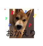 まめさんスタンプ♩（個別スタンプ：26）