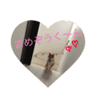 まめさんスタンプ♩（個別スタンプ：32）