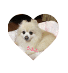 マロン❤️クリーム❤️ケーキ（個別スタンプ：13）