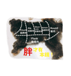 Mix Shih Tzu（個別スタンプ：12）