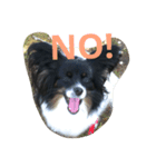 runarin18（個別スタンプ：5）