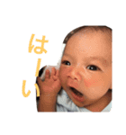 あおたん❷（個別スタンプ：2）