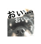 こてつのスタンプ（個別スタンプ：5）