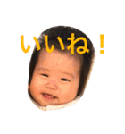 SEISHIRO and KOTO2（個別スタンプ：14）