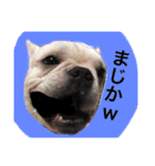 返事〜犬（個別スタンプ：4）