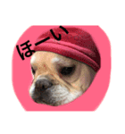 返事〜犬（個別スタンプ：5）