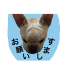 返事〜犬（個別スタンプ：9）