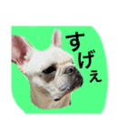 返事〜犬（個別スタンプ：10）