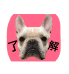 返事〜犬（個別スタンプ：14）