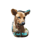 Chikuwa Chan（個別スタンプ：2）