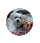 ハクちゃんスタンプ（個別スタンプ：14）