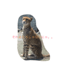 ちょろ子 猫（個別スタンプ：5）