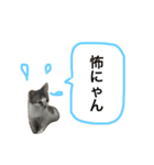 mame...（個別スタンプ：1）