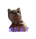 mame...（個別スタンプ：3）